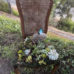 Enchanted Succulents Chair With Concret Wings
