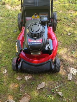 Big Wheel 21 " Mower