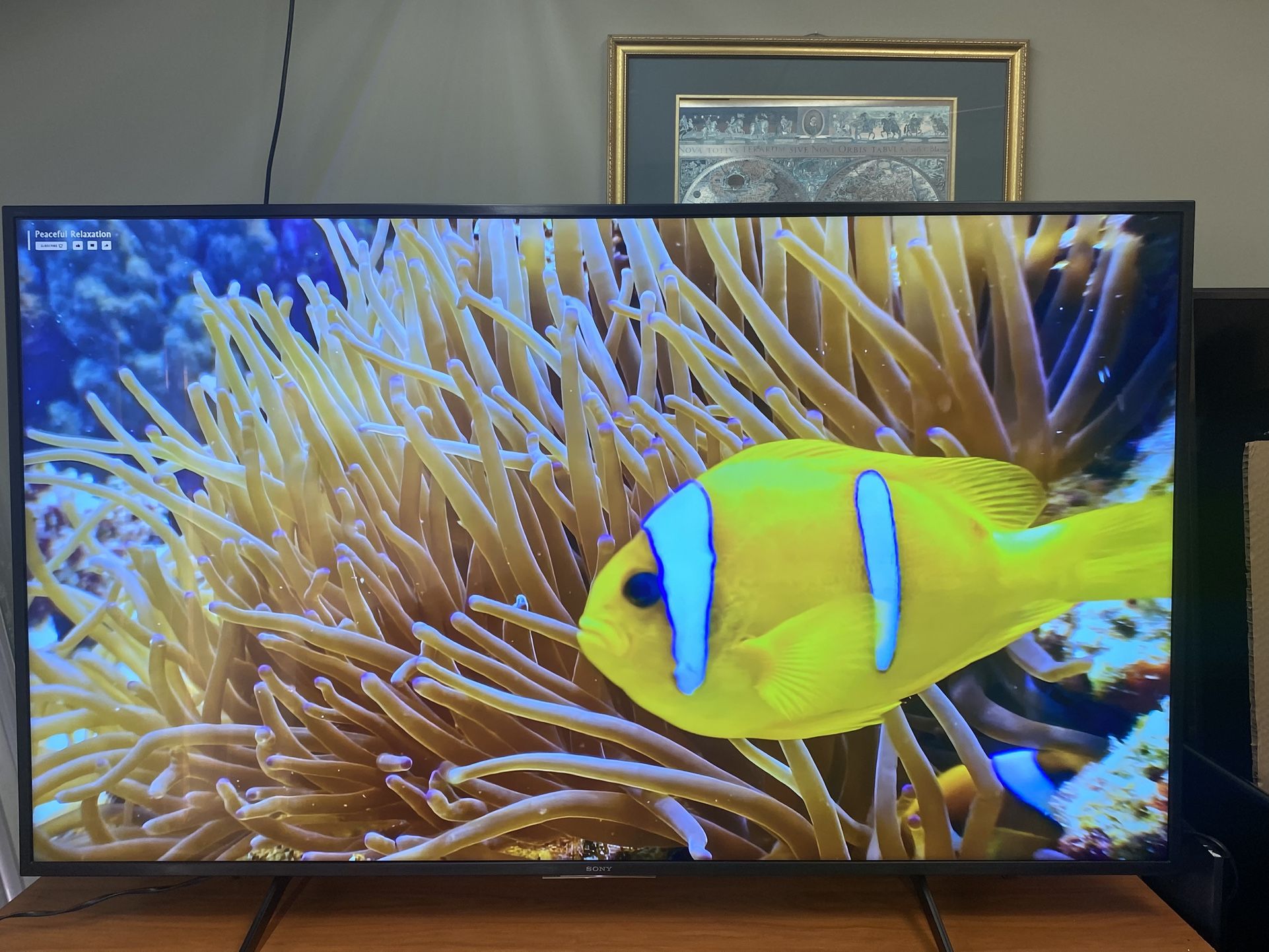 Sony 65” X750H 4K HDR LED with Smart Android TV (2020)