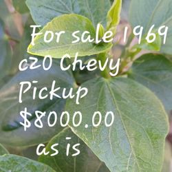 $8000.00 Firm  Chevy Pickup Original As Is Buyer's Pickup Cash Only  91343 Please Look At My Page Ty