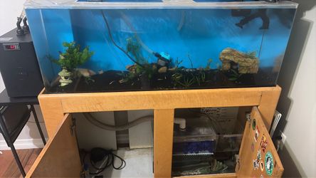 fish tank