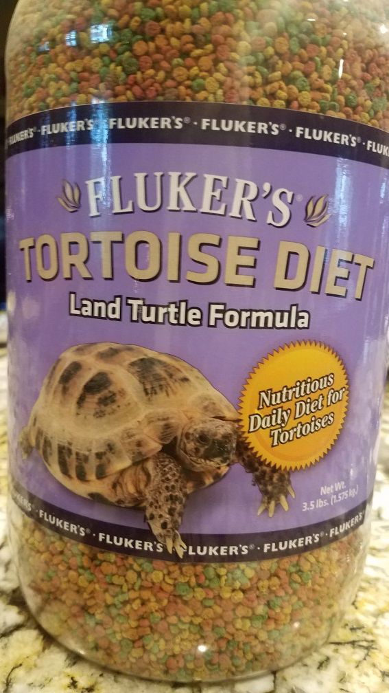 Turtle Food