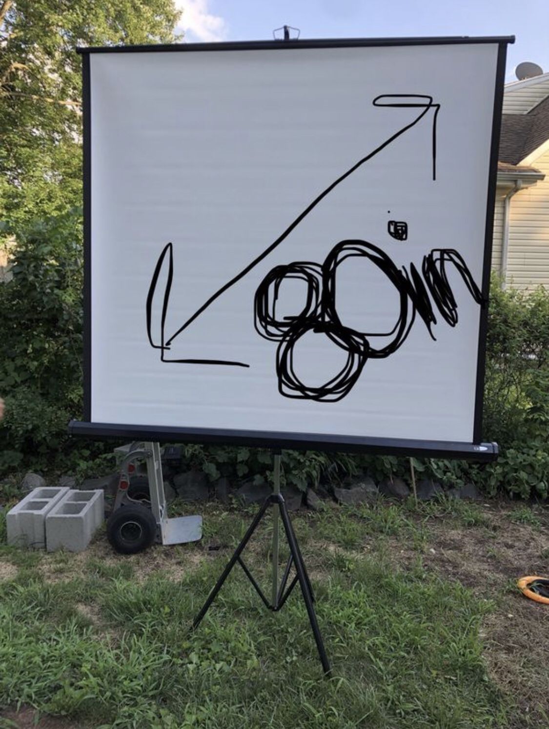 80 inch outdoor projector screen