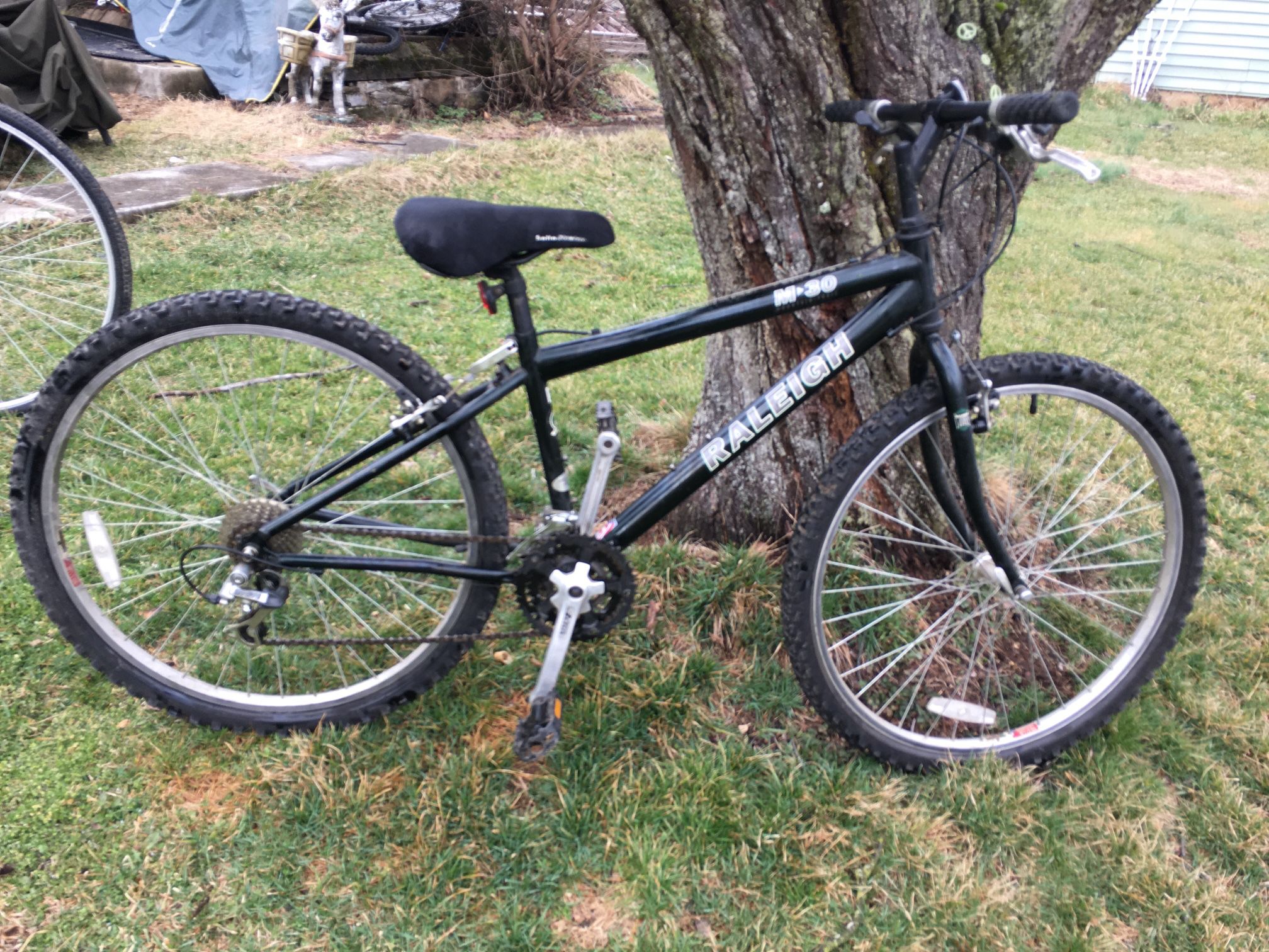  Raleigh Mountain Bike  $120