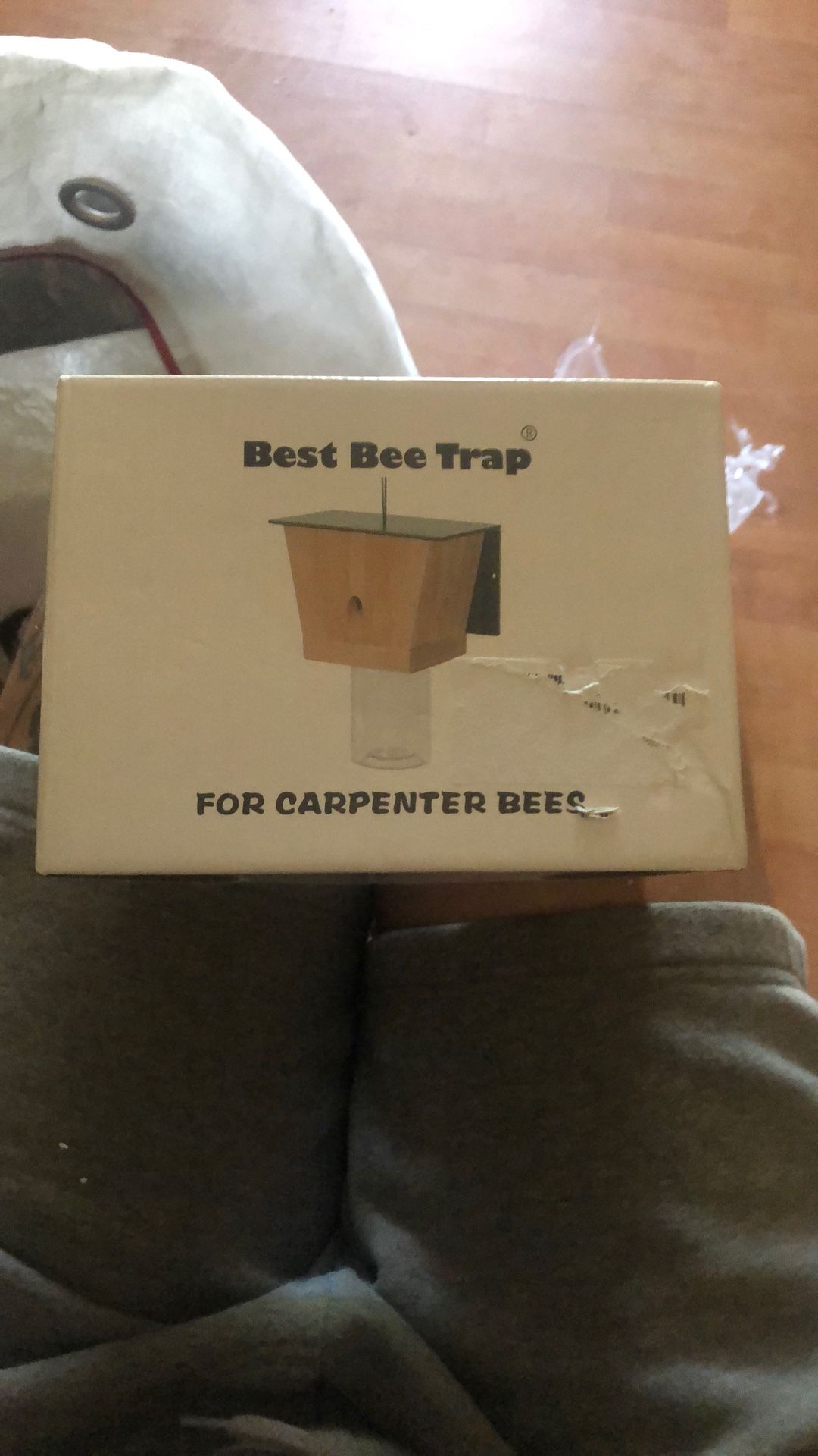 Best Bee Trap For Carpenter Bees