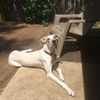 Addie