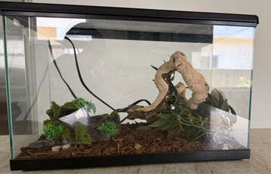 Glass Reptile Terrarium with Decor and Heating Pad