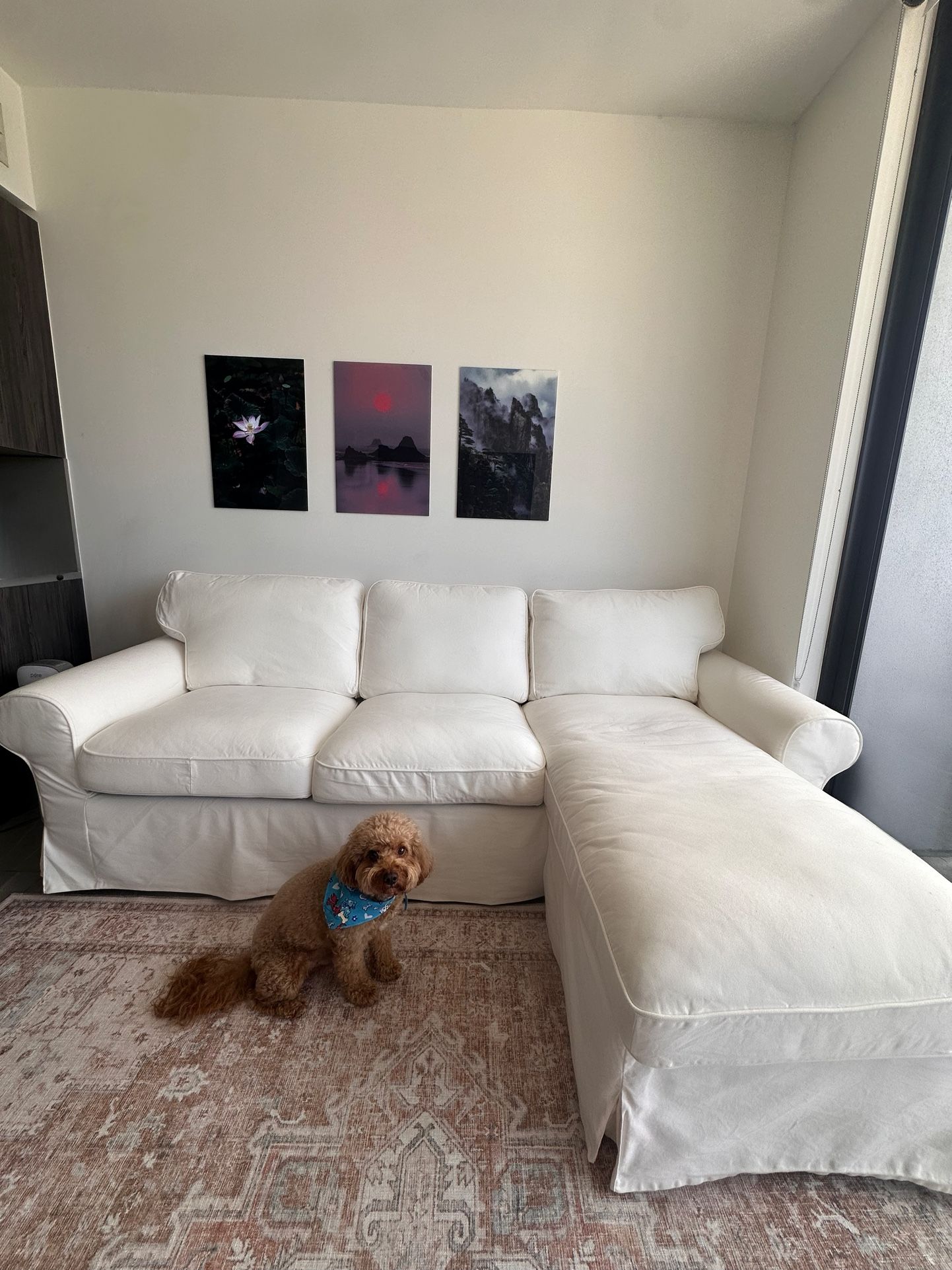 White Couch