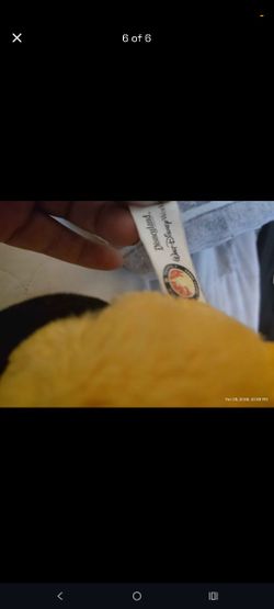 Pluto Dog From Disney Land