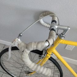 classic schwinn chicago 