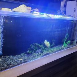 Acrylic Large Fish Tank