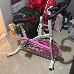 Sunny Exercise Bike