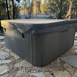 LifeSmart LS600DX 7- Person Jacuzzi (Grey)