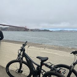 Tempt E+  Mountain Bike