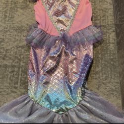 Mermaid Costume 