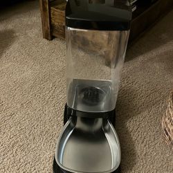 Cat Water Dispenser