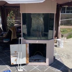55 Gallon Corner Tank And Stand