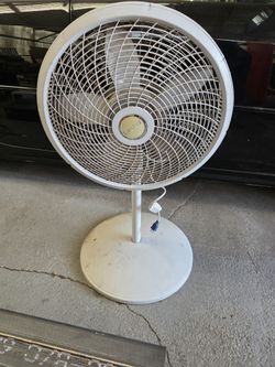 Fan