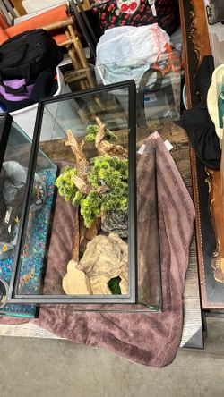 Reptile aquarium