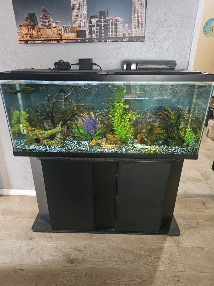 2 Tanks...100 Gallon Tank...50 Gallon Tank