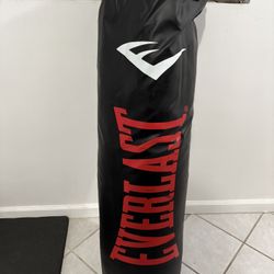 Everlast Heavy Bag 