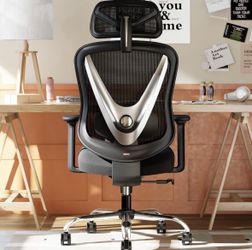 NEW HOLLUDE Ergonomic Mesh Office Chair w/ Headrest & Lumbar Support