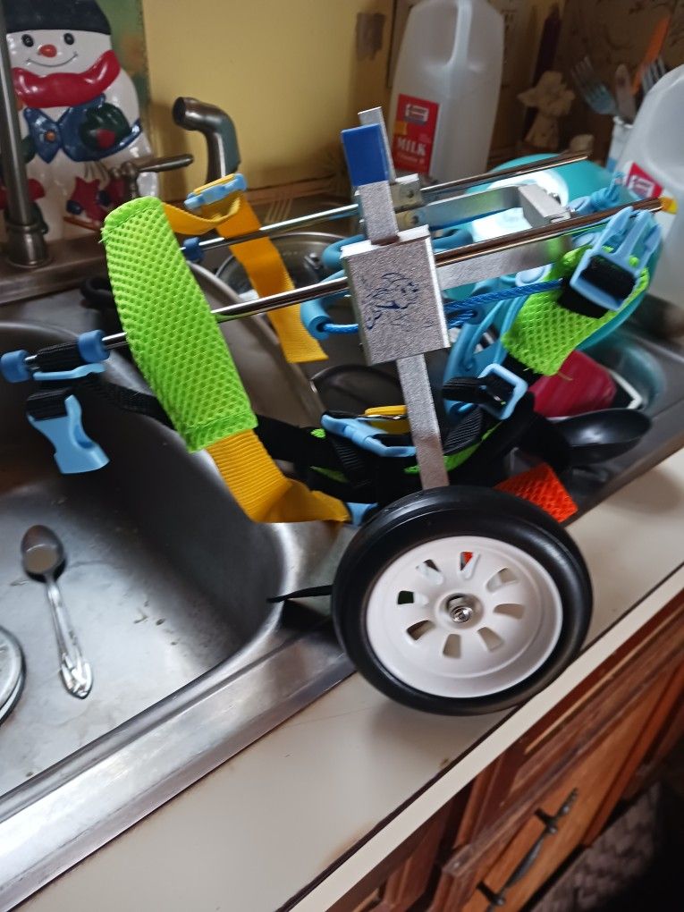 Small Dog Wheel Chair.
