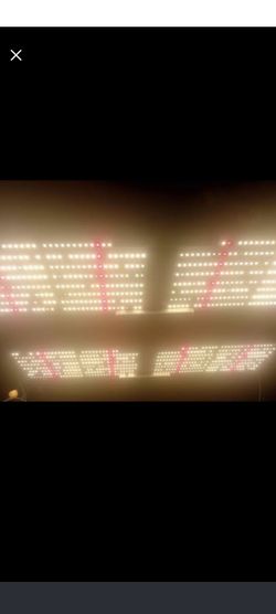 R Spec Full Spectrum Led