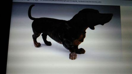 This here is a bench dog