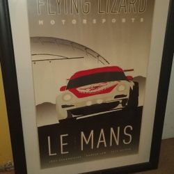 Le Mans 2010 Flying Lizard, Framed Poster 27.5" x 39.5"