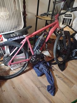 E bike 100