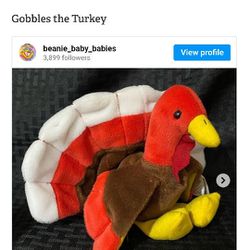 Gobbles The Turkey
