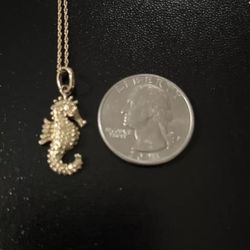 14kt Gold Seahorse With 18inch 14kt Gold Chain