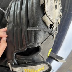 Wilson Mitt
