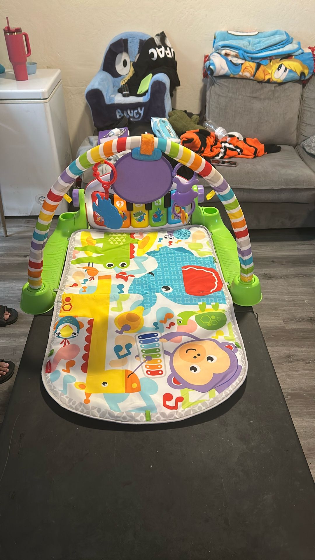Fisher Price Play Mat