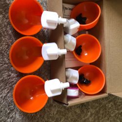 Chicken Water Cup Feeder