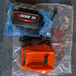 Echo Eforce 56v  Battery And Charger 