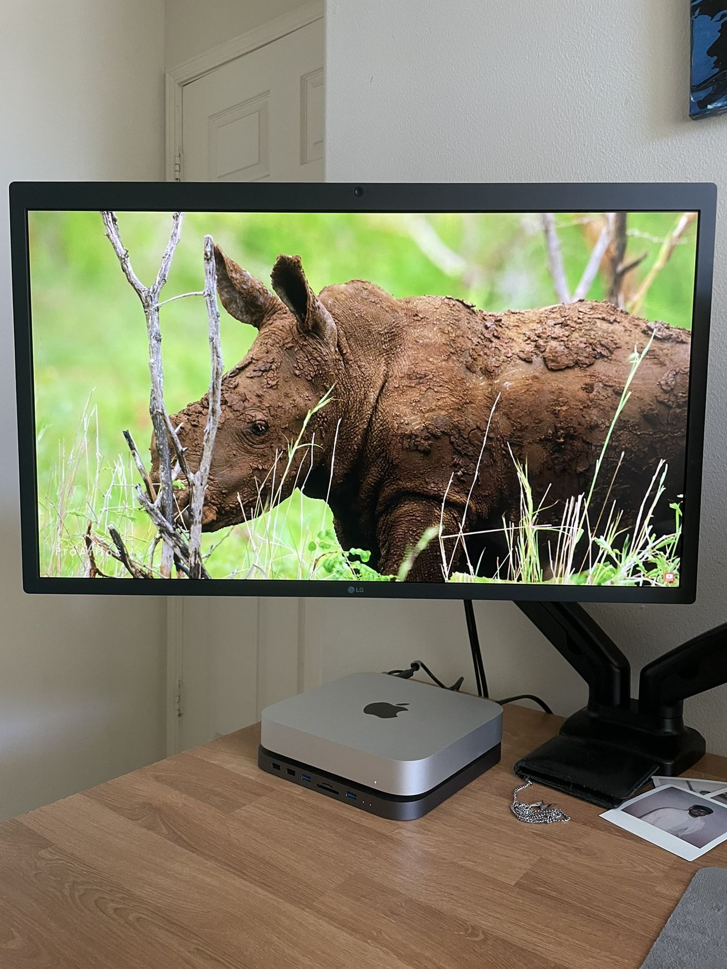 LG Ultrafine 5K Monitor for Apple Devices 