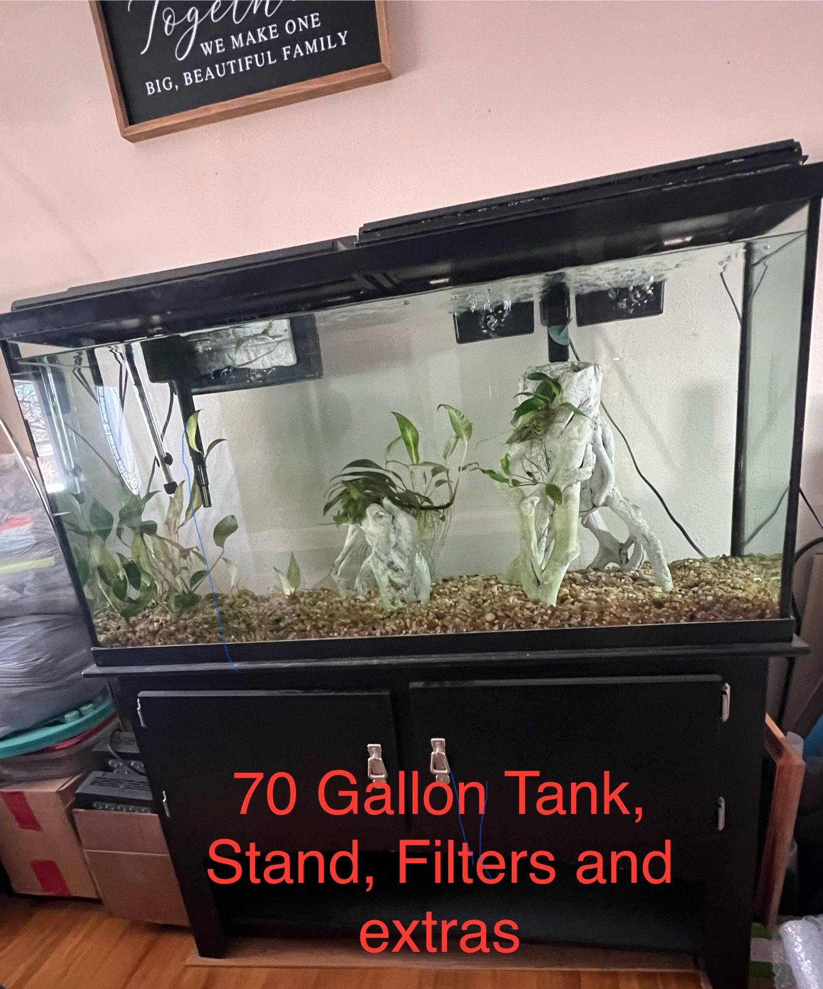 Fish Tanks