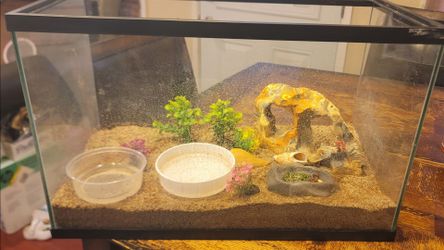 Hermit crab enclosure