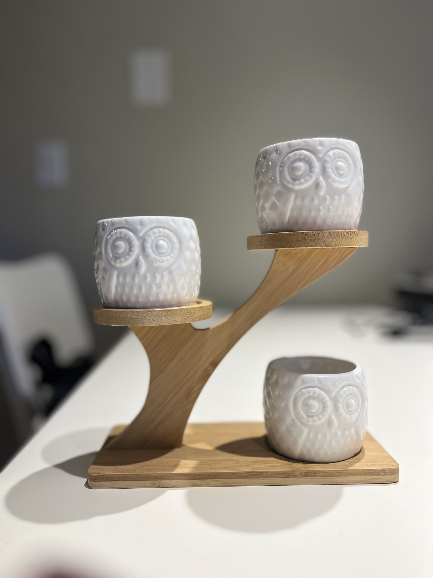 Small pot planter and shelf