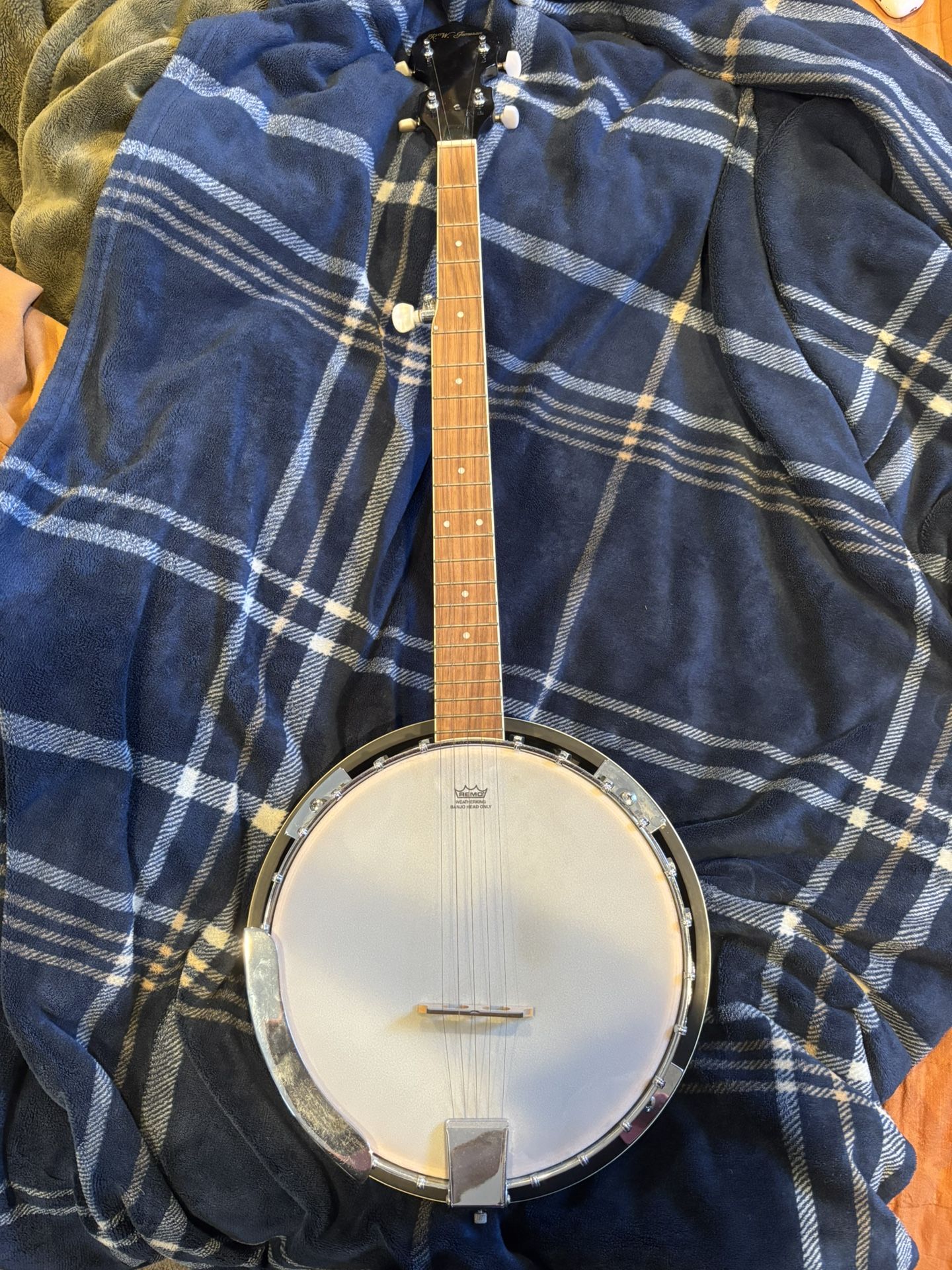 5 String Banjo
