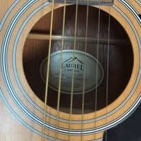 Laurel Canyon LA-100  Acoustic Guitar
