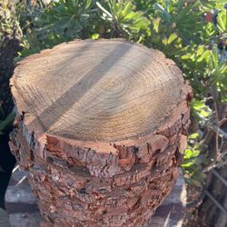 Pine Decoration Wood Slices (Center Pieces)