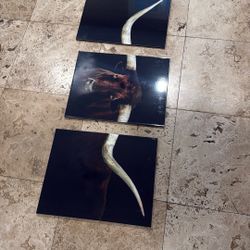longhorn paintings
