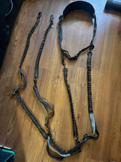 Double Dog Leash- Hands free- with extenders