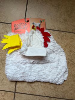 Pet costume