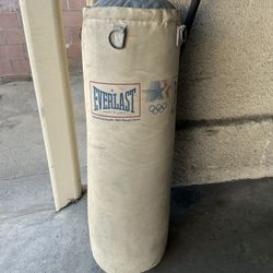 Everlast Punching Bag 