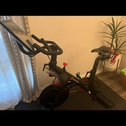 Peloton $250 OBO