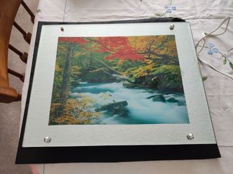 Lighted picture with and with out sound. Also lights up